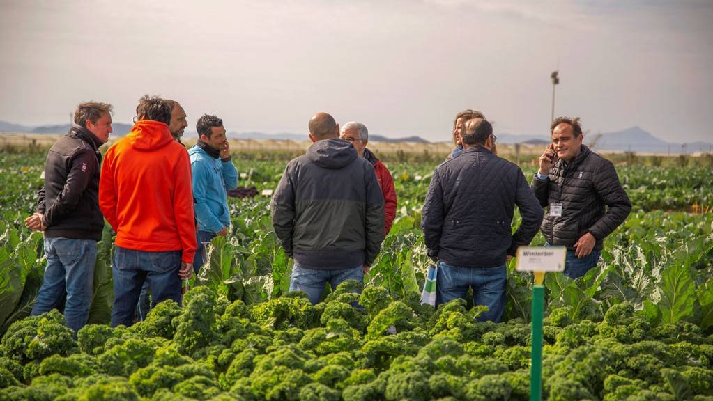 bejo iberica jornadas murcia|bejo iberica jornadas murcia|bejo iberica jornadas murcia|bejo iberica jornadas murcia